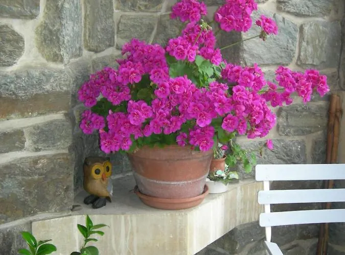 Bed & Breakfast Helianthe