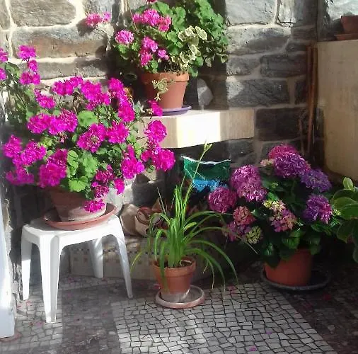 Bed & Breakfast Helianthe